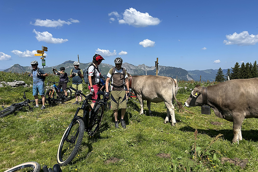 E-Bike-Tour Älggi