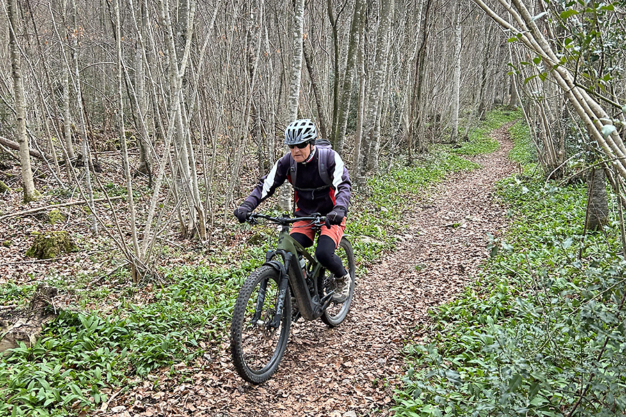 E-Bike-Tour Umgebung