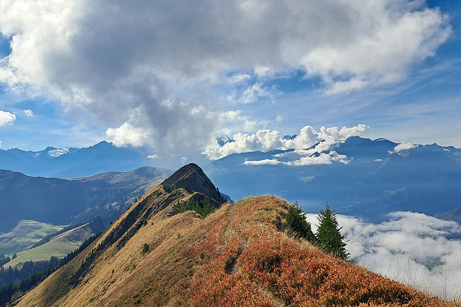 Gratwanderung übers Güpfi